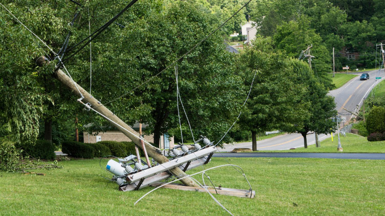 downed power line near trees